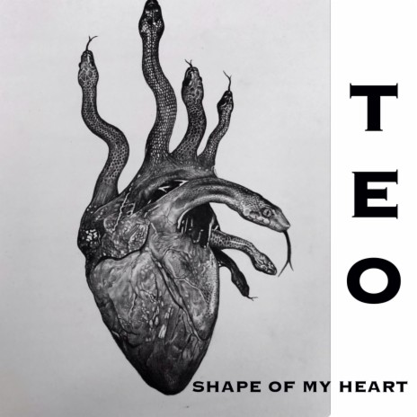 Shape Of My Heart | Boomplay Music