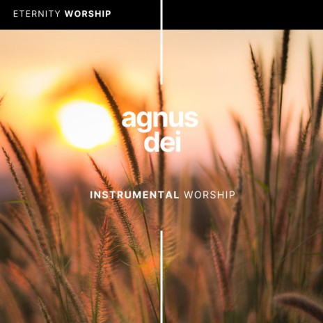 Agnus Dei | Boomplay Music