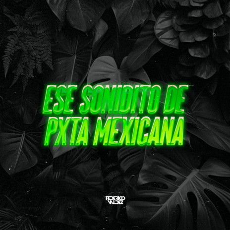 ESE SONIDITO DE PXTA MEXICANA (Radio Edit)