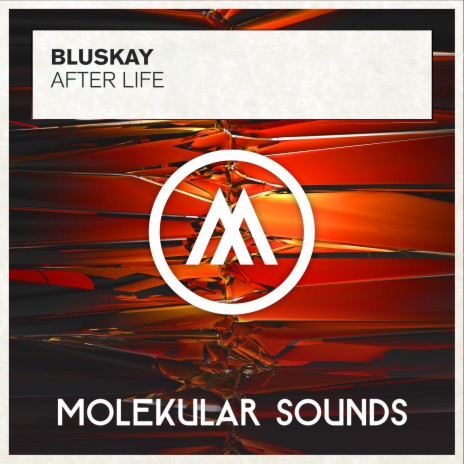 After Life (Radio Edit) | Boomplay Music