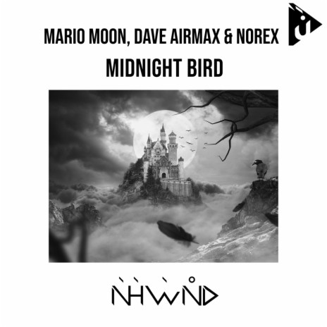 Midnight Bird (Original Mix) ft. Dave AirmaX & Norex | Boomplay Music