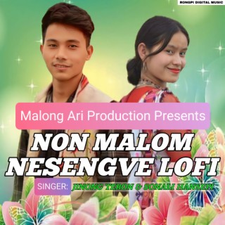 Non Malom Nesengve Lofi