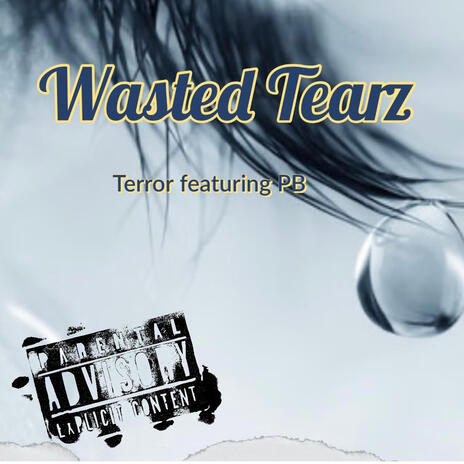 Wasted Tearz ft. PB | Boomplay Music