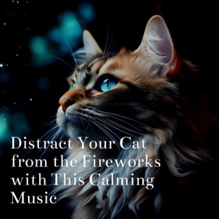 Distract Your Cat from the Fireworks with This Calming Music