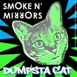 Dumpsta Cat