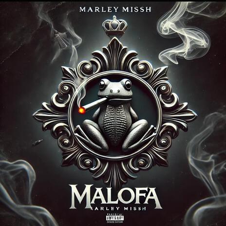 MALOFA | Boomplay Music