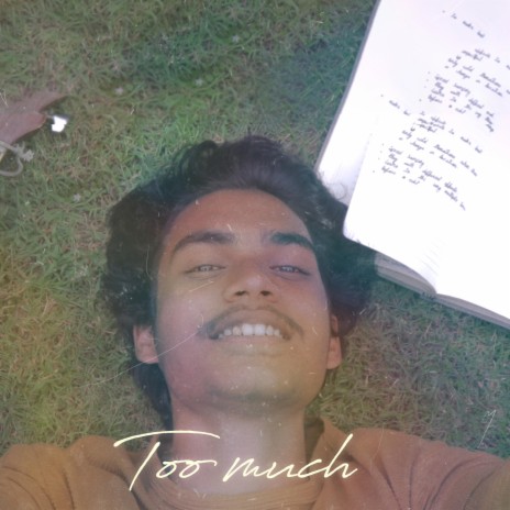 Too much | Boomplay Music