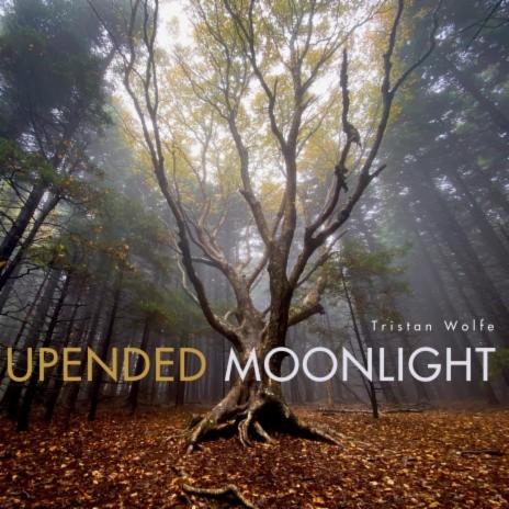 upended moonlight | Boomplay Music
