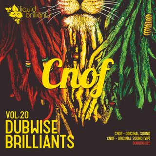 Dubwise Brilliants vol.20