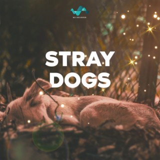 Stray Dogs