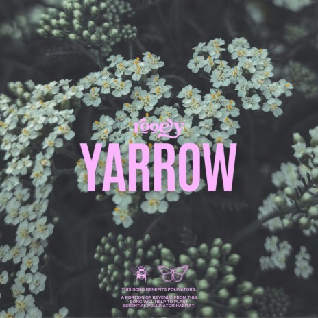 Yarrow | Boomplay Music