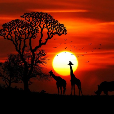 African Sunset | Boomplay Music