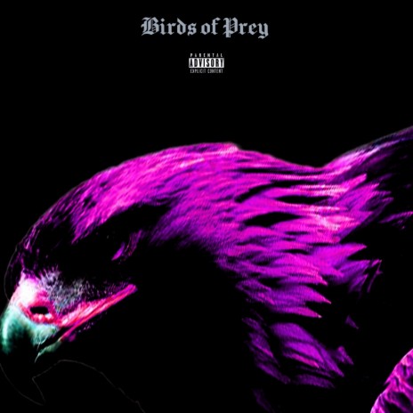 Birds of Prey – Birds of Prey Lyrics