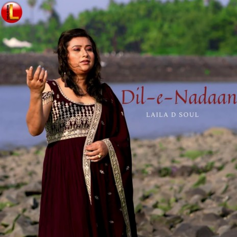 Dil E Nadaan | Boomplay Music