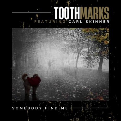 Somebody Find Me ft. Carl Skinner | Boomplay Music
