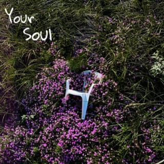 Your Soul lyrics | Boomplay Music
