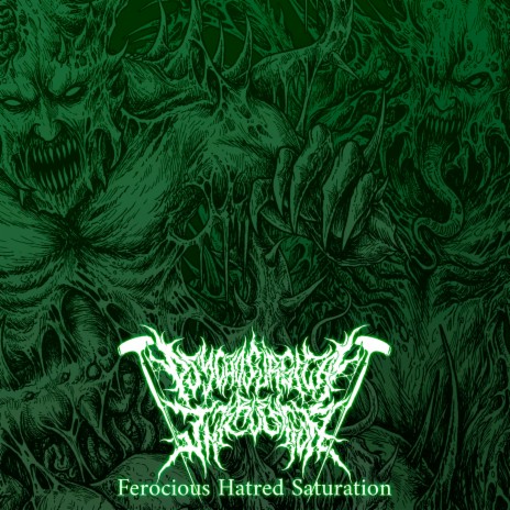 Ferocious Hatred Saturation | Boomplay Music