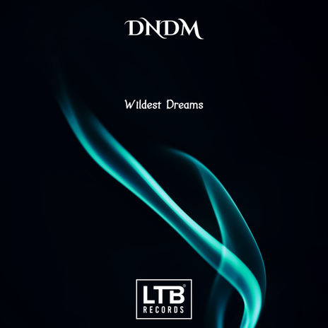 Wildest Dreams | Boomplay Music