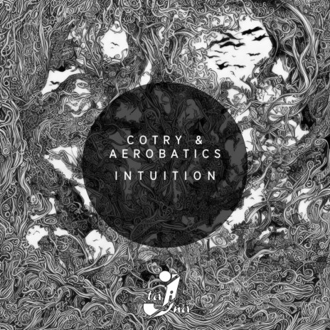 Intuition ft. Aerobatics | Boomplay Music