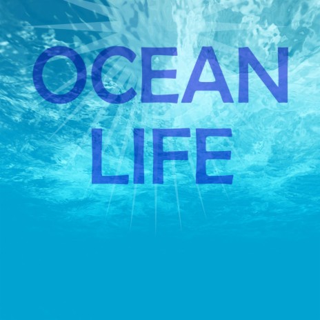 Ocean Life