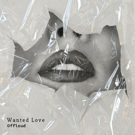 Wanted Love | Boomplay Music