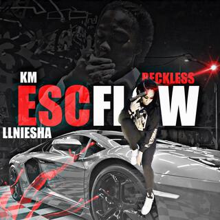 ESC Flow (LLNisha)