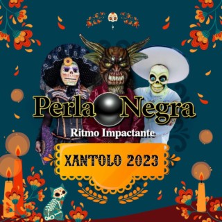 Perla Negra XANTOLO 2023