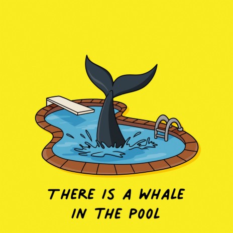 There Is a Whale in the Pool ft. Jason Masoud | Boomplay Music