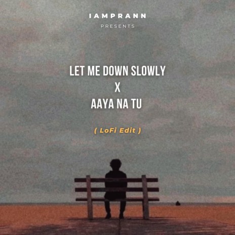 Let Me Down Slowly X Aaya Na Tu - LoFi | Boomplay Music