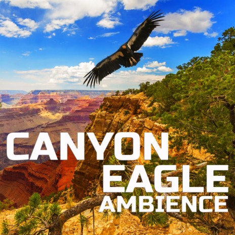 Calm Canyon Eagle Nature Sounds ft. Animal Planet FX, Animal Planet Ambience, Animal Planet Soundscapes, Animals Life Sounds & Animals Nature Sounds