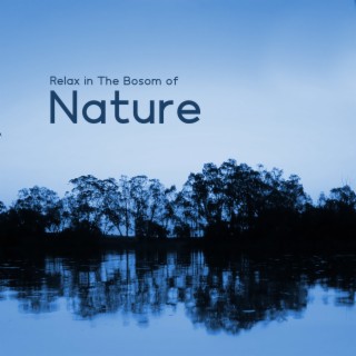 Relax in The Bosom of Nature: Soothing Music with Nature Sounds to Help You Sleep, Calm Anxiety and Eliminate Uncertainty