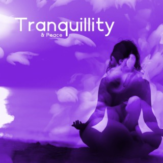 Tranquillity & Peace: Gentle Music for Visualization, Affirmations, Guided Meditation