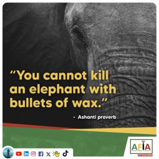 You Can’t Kill an Elephant with Bullets of Wax | AFIAPodcast