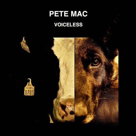 Voiceless | Boomplay Music