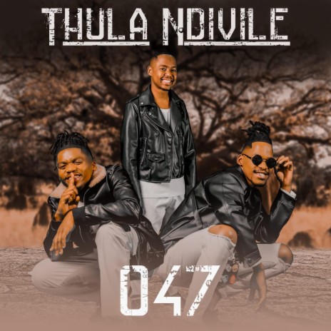 Thula Ndivile | Boomplay Music