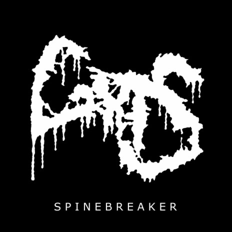 Spinebreaker