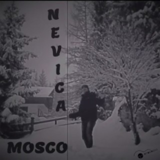 Nevica