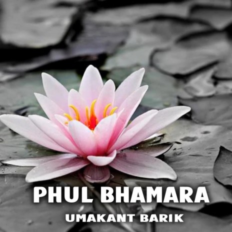 Phul Bhamara | Boomplay Music
