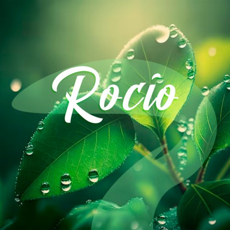 Rocío ft. Mind & Earth | Boomplay Music