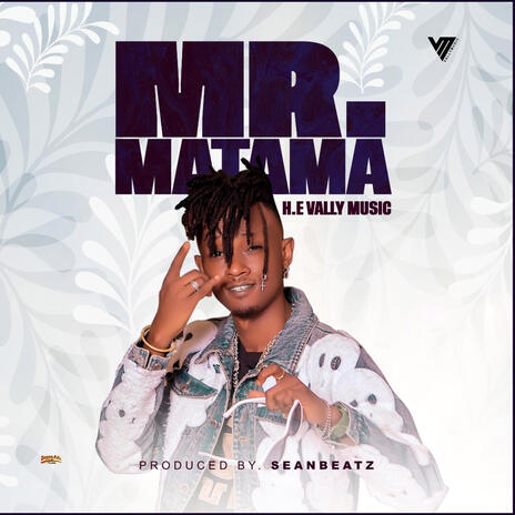 Mr Matama | Boomplay Music