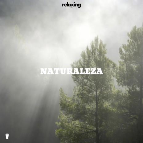 Naturaleza | Boomplay Music