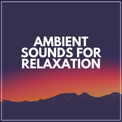 Accredited Ambient