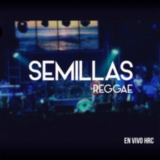 Semillas Reggae