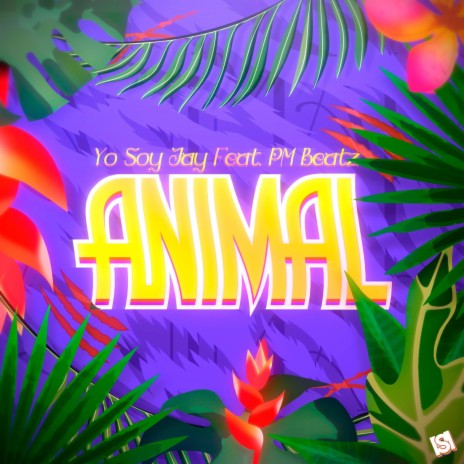 Animal ft. PM Beatz | Boomplay Music