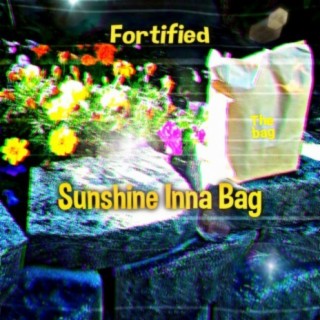 Sunshine Inna Bag