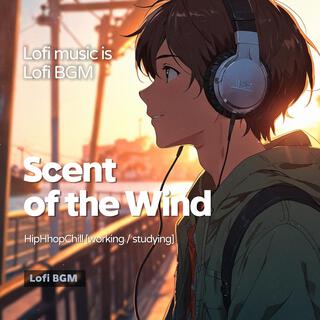 Scent of the Wind (Lofi Study Music)