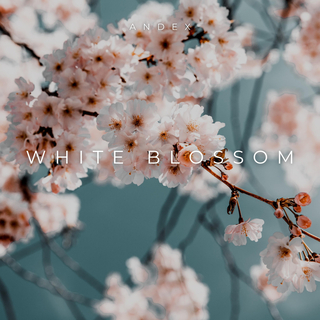 White Blossom