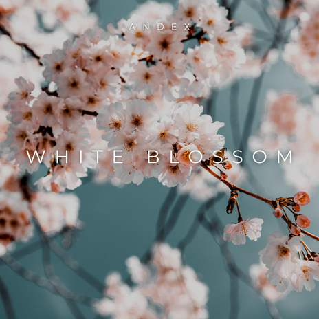 White Blossom | Boomplay Music