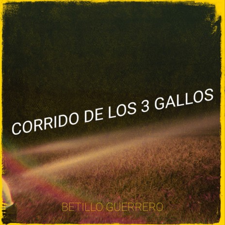 Corrido De Los 3 Gallos | Boomplay Music