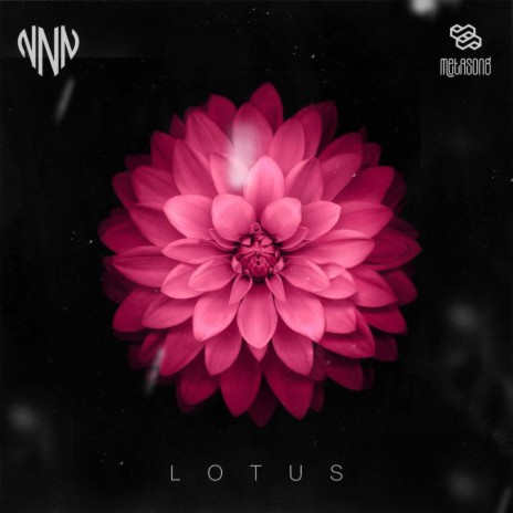 Outro LOTUS | Boomplay Music